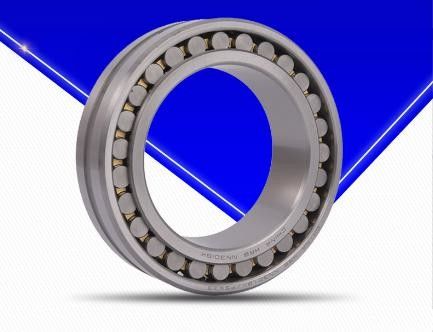 Rulli per cuscinetti cilindrici multiuso Materiale GCr15 resistente