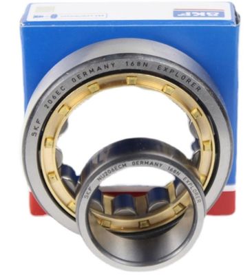 SKF RN206M Cuscinetti a rulli cilindrici a fila singola con precisione P5